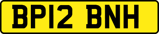 BP12BNH