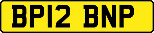 BP12BNP