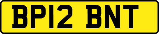 BP12BNT