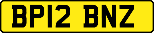 BP12BNZ