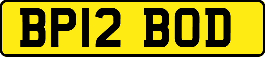 BP12BOD