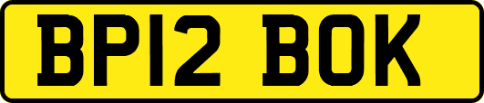 BP12BOK