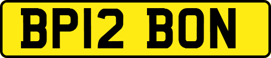 BP12BON