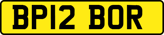 BP12BOR