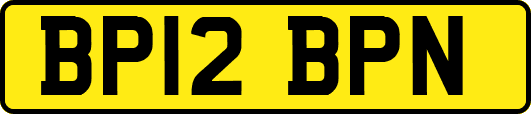 BP12BPN