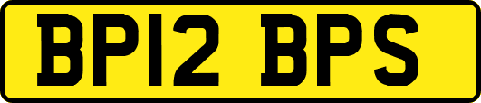BP12BPS