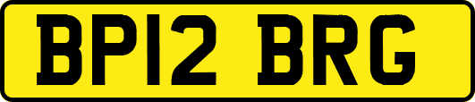 BP12BRG