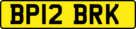 BP12BRK