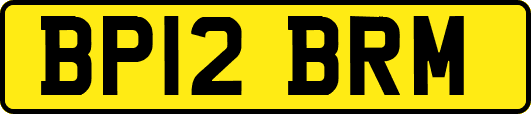 BP12BRM