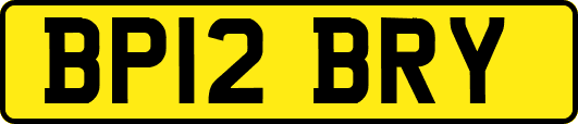 BP12BRY