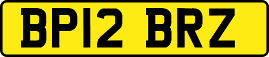 BP12BRZ