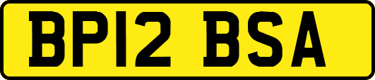 BP12BSA