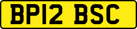 BP12BSC