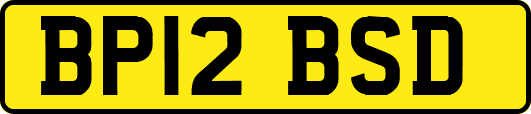BP12BSD