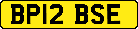 BP12BSE