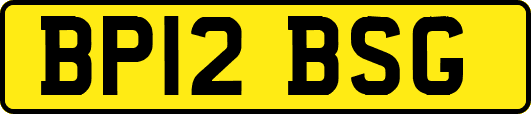 BP12BSG