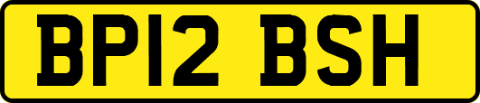 BP12BSH