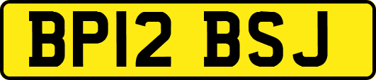 BP12BSJ