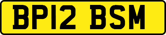 BP12BSM