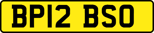 BP12BSO