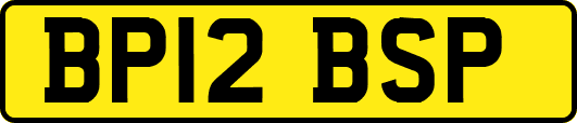 BP12BSP
