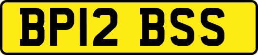 BP12BSS