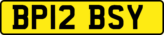 BP12BSY