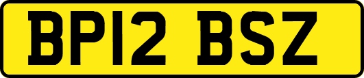 BP12BSZ