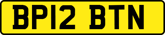 BP12BTN