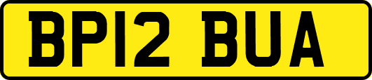 BP12BUA