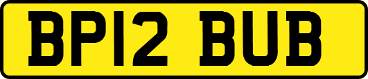 BP12BUB