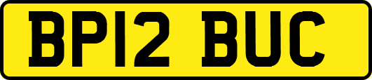 BP12BUC