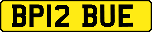 BP12BUE