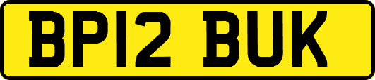 BP12BUK