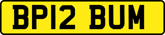 BP12BUM
