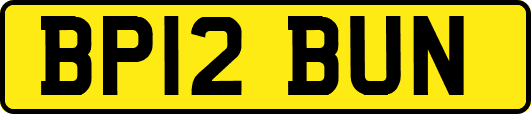 BP12BUN