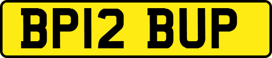 BP12BUP