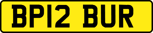 BP12BUR