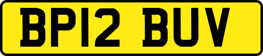 BP12BUV