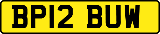 BP12BUW
