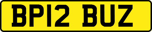 BP12BUZ