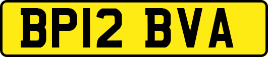 BP12BVA