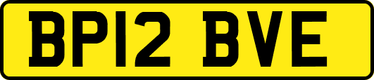 BP12BVE
