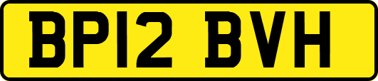 BP12BVH