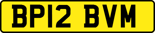 BP12BVM