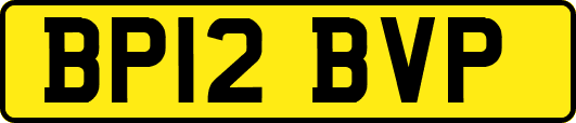 BP12BVP