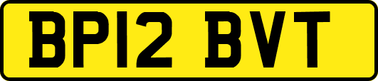 BP12BVT