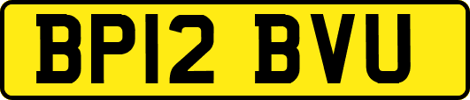 BP12BVU