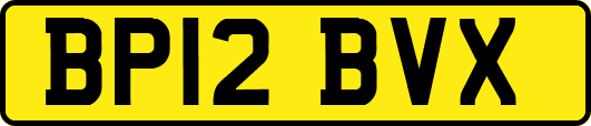 BP12BVX