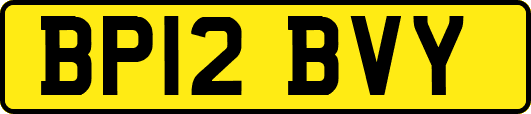 BP12BVY